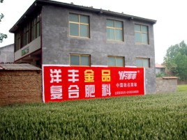 邵东如何让墙体广告展现最大化效果