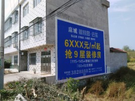 邵东墙体广告质量分析