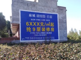 邵东墙体广告的好处
