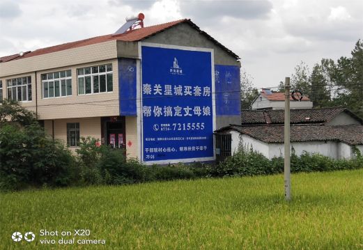 邵东决定墙体广告价格的因素有哪些?