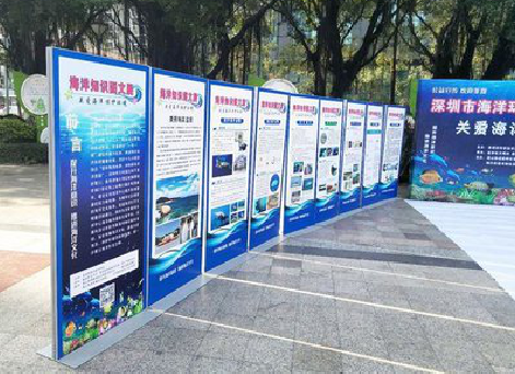 邵东KT板的种类和知识。